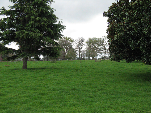 Payne Park Cambridge Tree Trust